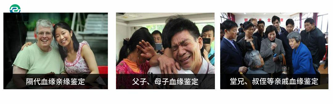 DNA鑒定小常識——親緣關系鑒定2 DNA鑒定小常識——親緣關系鑒定2