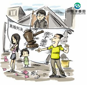 親子鑒定該不該背婚姻失敗的鍋？