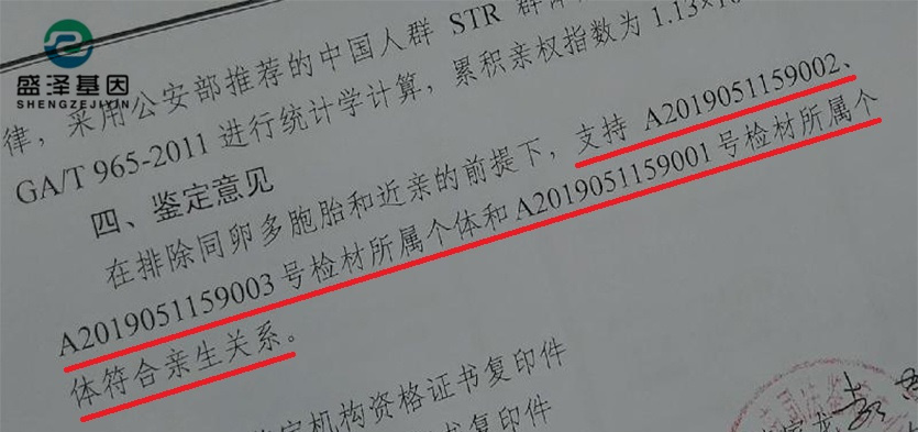 DNA親子鑒定報告究竟長啥樣？怎么看？