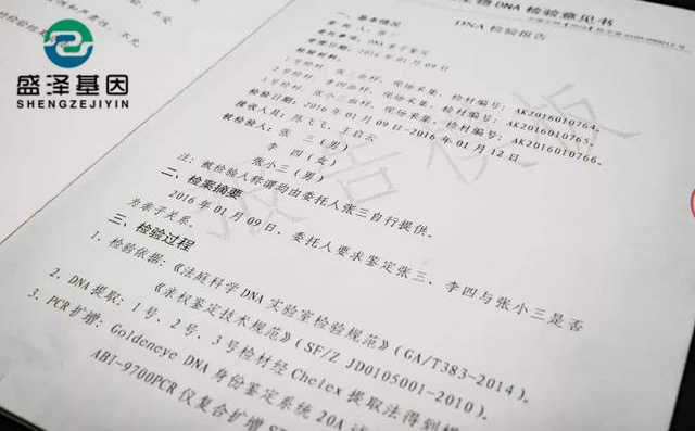 DNA親子鑒定報告究竟長啥樣？怎么看？