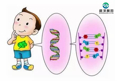 父子DNA鑒定配比率多少孩子才是親生？3