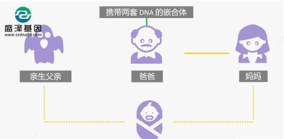 醫(yī)學(xué)怪病奇美拉現(xiàn)象：親自生未必是親生？你身體還住著另一個(gè)人？