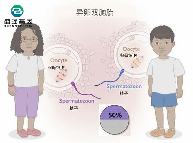 廣東男子做親子鑒定,竟發現自家雙胞胎有一個不是自己的?! 廣東男子做親子鑒定,竟發現自家雙胞胎有一個不是自己的?!