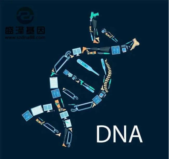 醫(yī)學(xué)怪病奇美拉現(xiàn)象：親自生未必是親生？你身體還住著另一個(gè)人？
