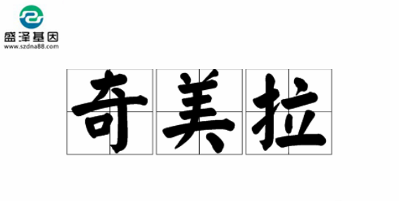 醫(yī)學(xué)怪病奇美拉現(xiàn)象：親自生未必是親生？你身體還住著另一個(gè)人？