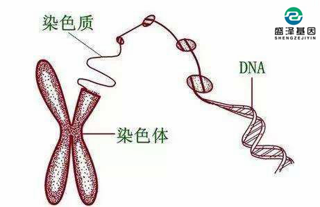 個(gè)人隱私親子鑒定可以保密嗎？怎么選擇司法親子鑒定機(jī)構(gòu)？