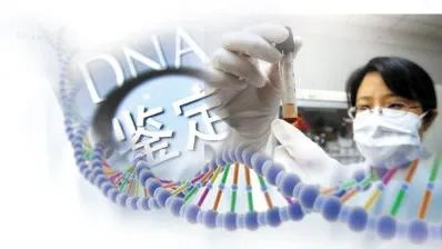 母子親子鑒定哪里檢測(cè)？