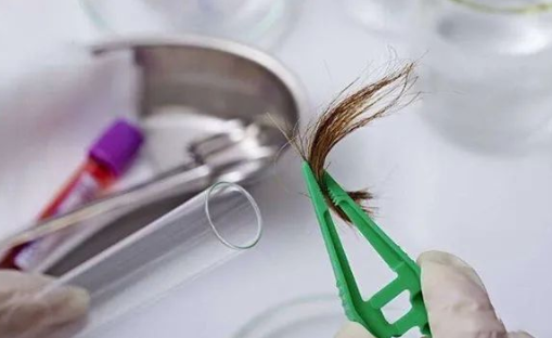 煙頭、血痕、毛發(fā)，做親子鑒定用哪些樣本最為準確？