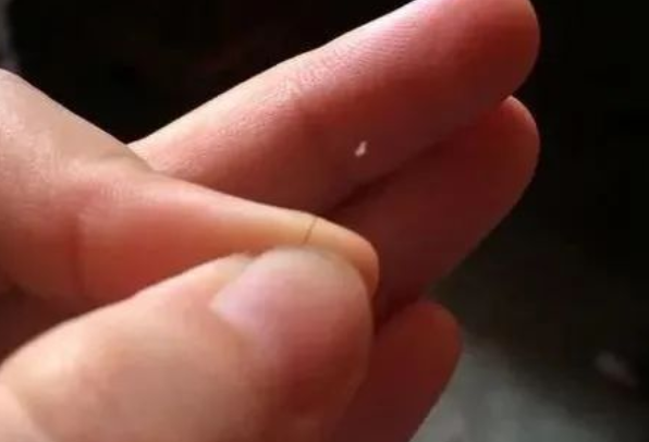掉落的毛囊毛發可以拿去做染色體親子鑒定嗎? 掉落的毛囊毛發可以拿去做染色體親子鑒定嗎?