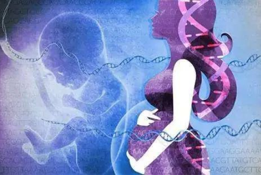 孕婦懷孕幾個月可以做dna親子鑒定？對胎兒有傷害嗎？