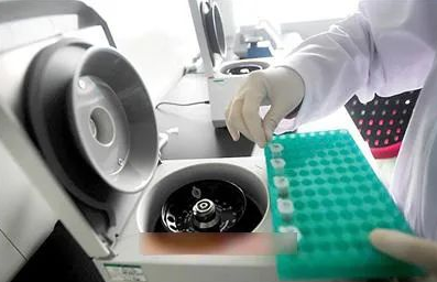 指甲是否含有DNA，可作為親子鑒定樣本嗎？