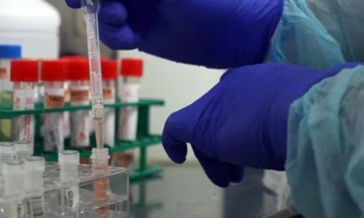 除了血液人的唾液能做親子鑒定嗎？能親子鑒定人的遺傳病史嗎？