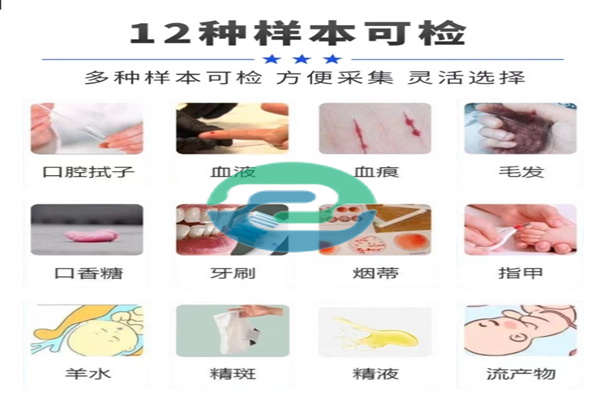 辦理中山親子鑒定前能不能吃東西？