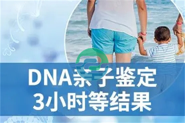 中山親子鑒定通常都有哪些步驟？