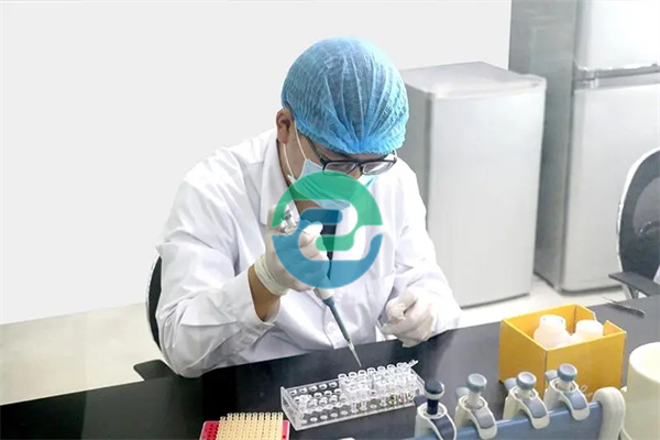 回答有關中山親子鑒定的常見問題！