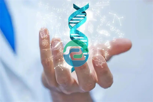 中山親子鑒定在哪里做？需要什么樣的樣本？