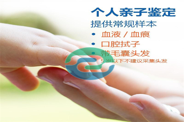 中山上戶口親子鑒定全過程！