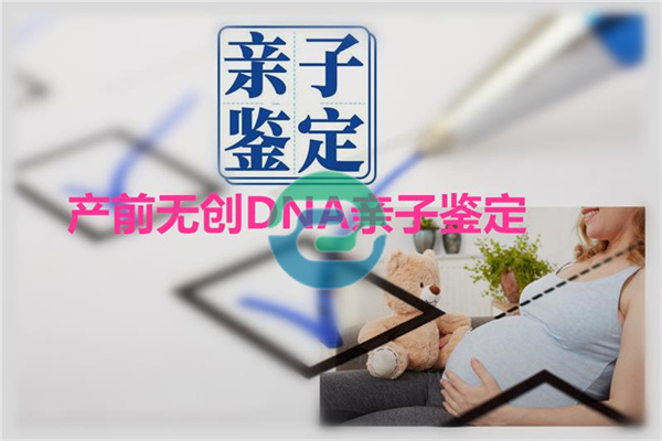 想做個中山親子鑒定可以隨時過來嗎？