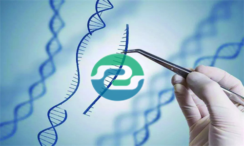 發現懷孕可以做中山親子鑒定嗎？可以保護隱私嗎？