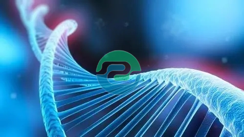 中山親子鑒定的費用是多少？需要什么？