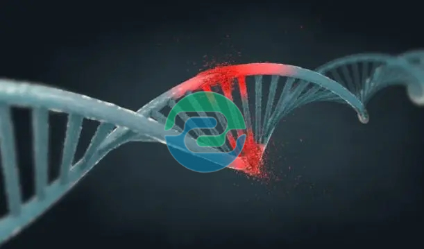 關于2025年中山戶籍親子鑒定過程: 三步走不走錯路