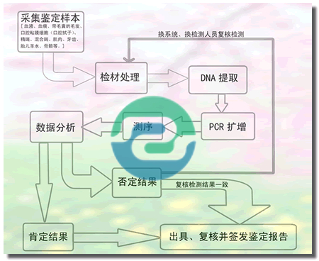 不想帶孩子去現場怎么做中山親子鑒定？